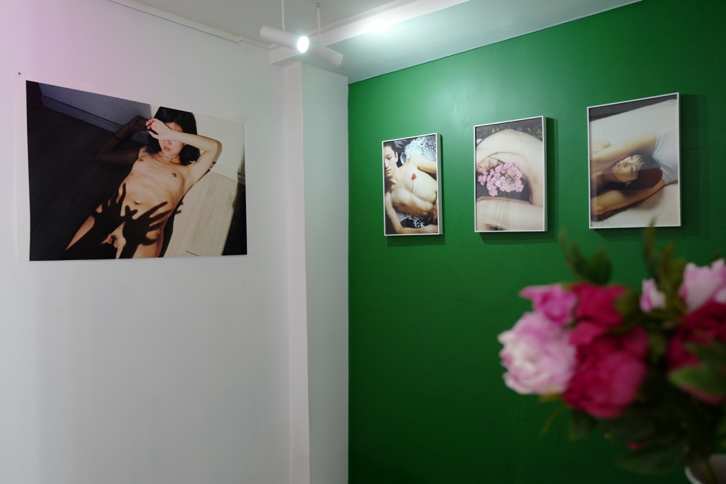 https://linzhipeng223.com/files/gimgs/68_wildasahare5.jpg