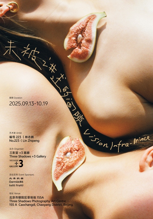 https://linzhipeng223.com/files/gimgs/69_vision-infra-mince-poster.jpg